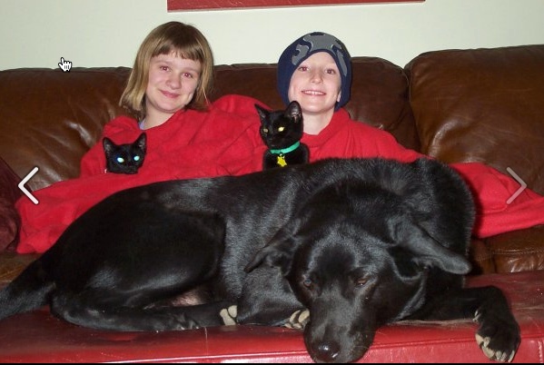 Annie, Devon and the animals we love