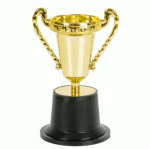 Participant Trophy